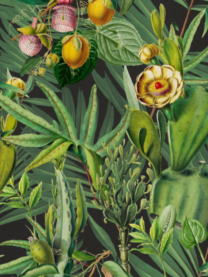 Luscious Flora Wallpaper In Green From The Wallpaper Compendium Collection By Mind The Gap