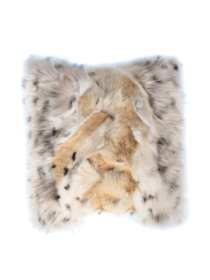Printed Coyote Pillow