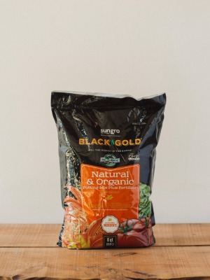 Black Gold Organic All-purpose Potting Soil