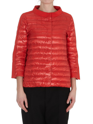 Herno Cropped Padded Jacket