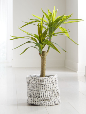 Potted Artificial Yucca