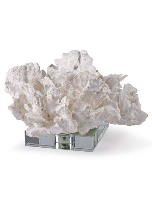 Regina Andrew White Cabbage Coral On Crystal