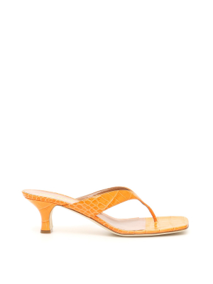 Paris Texas Thong Sandals