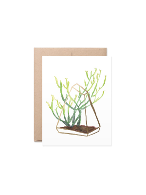 Lake Erie Design Co Golden Terrarium Giana