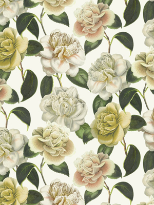 Camella Folly Parchment Fabric