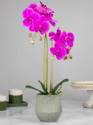 Northlight 14" Purple Artificial Orchid Plant With A Gray Stone Pot