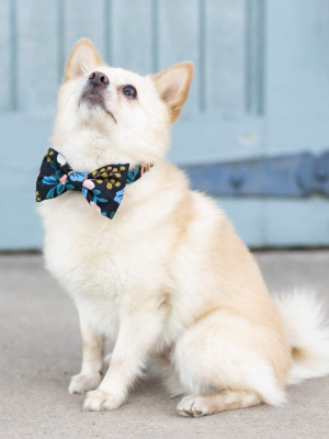 Rosa Floral Peach Dog Bow Tie