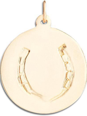 Large Horseshoe Disk Charm