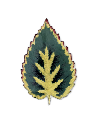 Leaf Platter 57