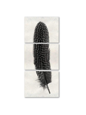 Feather #5 Trilogy Print