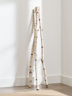 Tall Birch Branches, Set Of 3