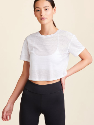 Tie Back Crop Tee