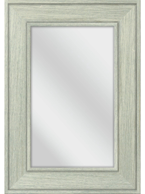 28.5" X 40.5" Catalyst Decorative Wall Mirror - Ptm Images