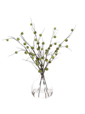 Eucalyptus Pods In Glass Vase