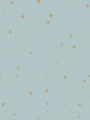 Upon A Star Peel & Stick Wallpaper In Blue By Roommates For York Wallcoverings