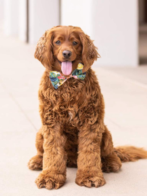 Bouquet Dog Bow Tie