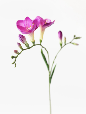 Fake Flower Freesia In Violet - 27"