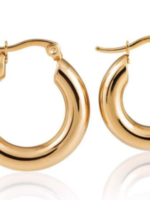 Sahira Emmy Hoops