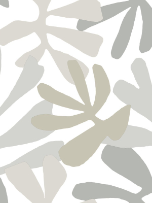 Kinetic Tropical Peel & Stick Wallpaper In Grey And Beige From The Risky Business Iii Collection By York Wallcoverings