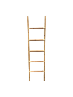 Climb Ladder