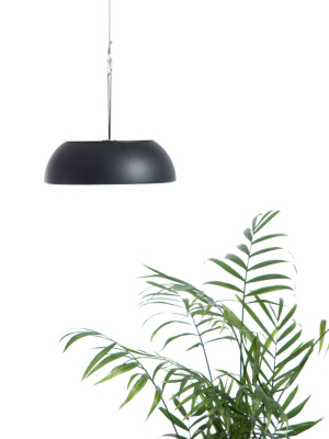 Float Pendant Light