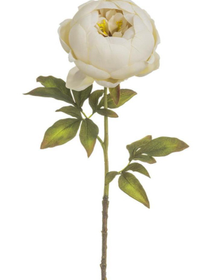 Artificial Peony Flower In Ivory - 24"