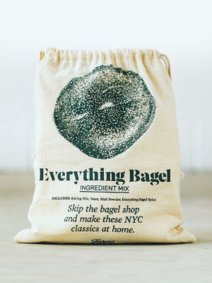 Farmsteady Everything Bagel Making Mix