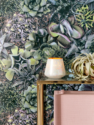Succulent Wallpaper