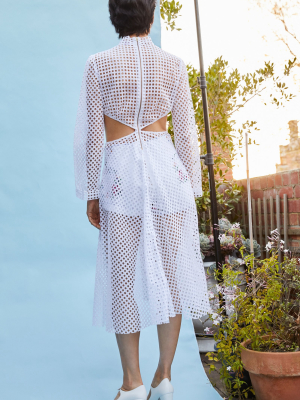 Expansion Lace Dress
