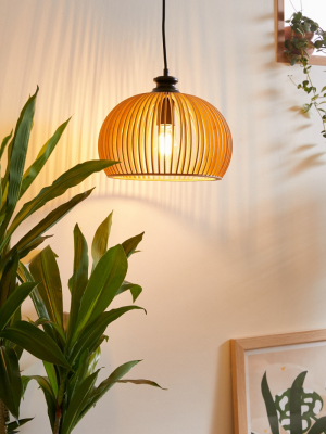 Caged Wood Pendant Light