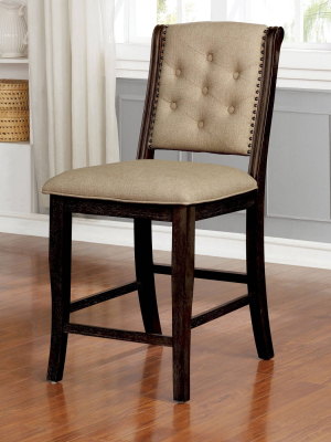 Set Of 2 Charmaine Tufted Counter Height Dining Chairs Dark Walnut - Iohomes