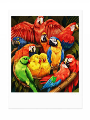 Parrots