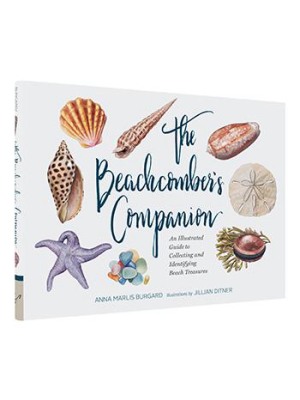 The Beachcomber's Companion