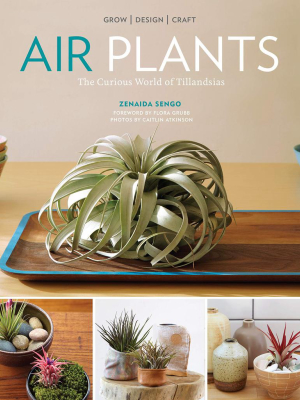 Air Plants: The Curious World Of Tillandsias