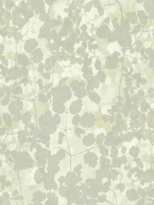 Pressed Leaves Wallpaper In Silver From The Botanical Dreams Collection By Candice Olson For York Wallcoverings