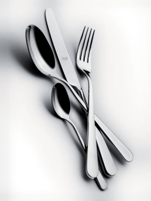 Restauranteur Flatware (set Of 24)