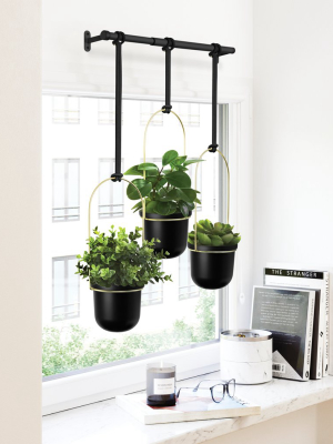 Umbra Triflora Hanging Planter - Kedenza