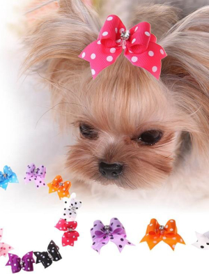 Spots & Dots - Dog Hair Bows (1 Pair)