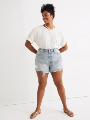 The Momjean Short In Jeffries Wash: Destructed Edition