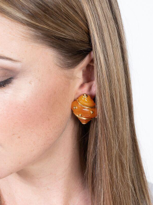 Amber Shell With Gold Dots Clip Earrings