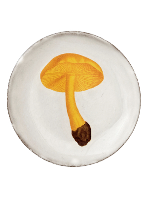 Agaric Couleur De Soufre Saucer