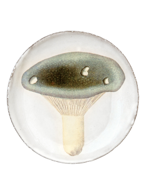 Agaric Fourchu Saucer