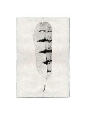 Feather Study #8 Print