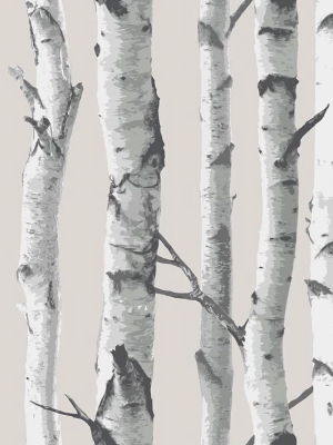 Birch Trunks Peel & Stick Wallpaper