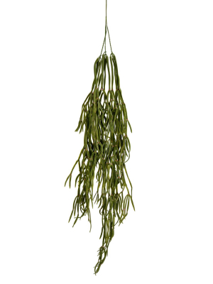 Vickerman 36" Green Trailing Grass Spray.