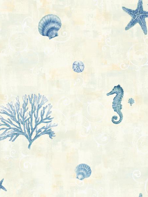 Boca Raton Blue Seashells Wallpaper From The Seaside Living Collection By Brewster Home Fashions