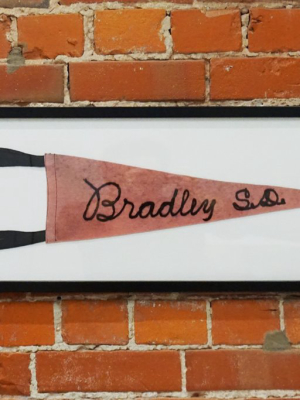 Vintage Bradley Sd Pennant - Framed