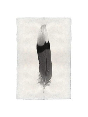 Feather Study #9 Print