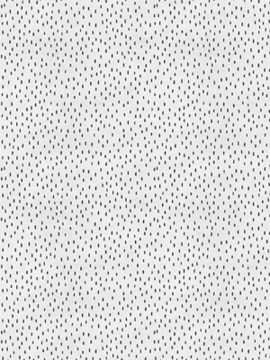 Dalmation