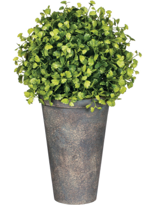 Sullivans Artificial Maiden Hair Fern Potted Orb 13"h Green